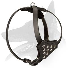 Belgian Malinois Puppy Leather Harness with Studs Decoration