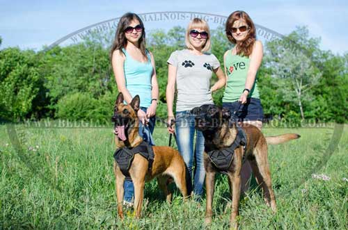 Training Malinois Nylon Harness