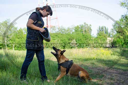 Malinois Nylon Harness with Bite Developer and Trainign Vest