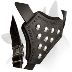 Leather Belgian Malinois Puppy Harness With Stylish Design
