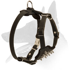 Leather Harness Belgian Malinois Puppy Unique Design