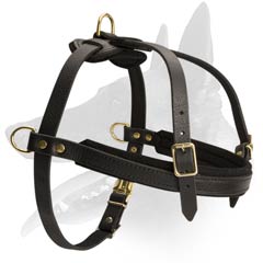 Strong Dog Leather Harness