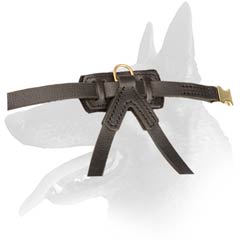 Padded Leather Harness