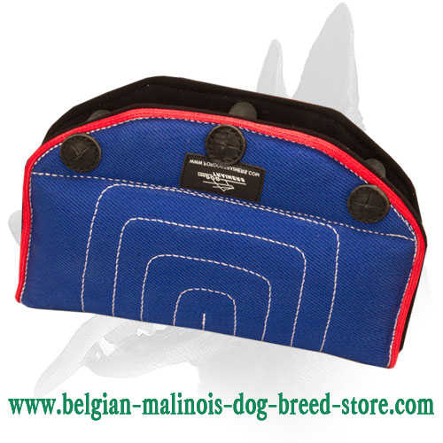 Belgian Malinois Bite "Provoker" for Young Dogs and Puppies