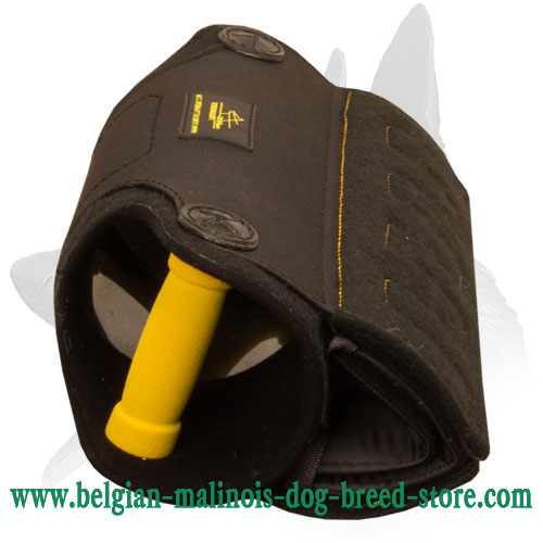 Super Strong Puppy and Young Belgian Malinois Bite X-Builder