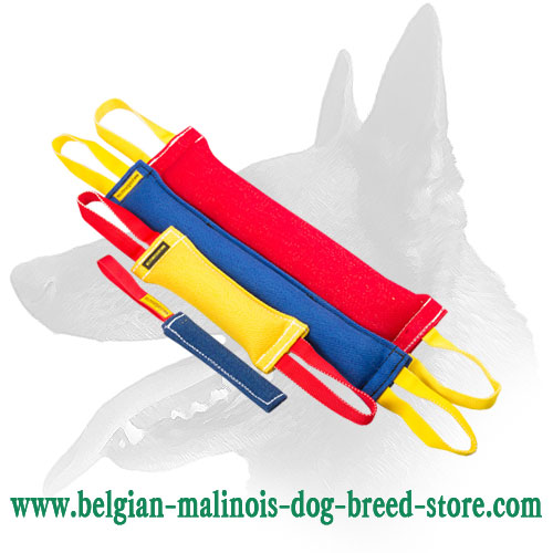 Buy Now Adult Belgian Malinois Training Set and Get Amazing gift ( value $7.9)