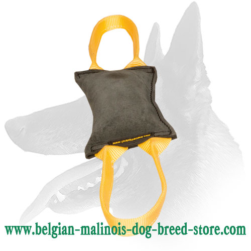 'Firm Bite' Belgian Malinois Leather Tug for Young Dog Training