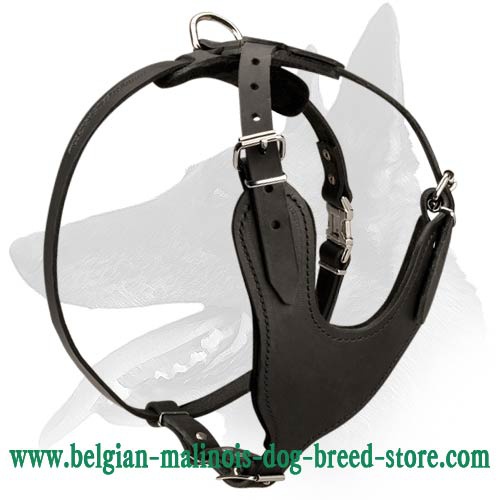 Heavy Duty Leather Harness for Belgian Malinois