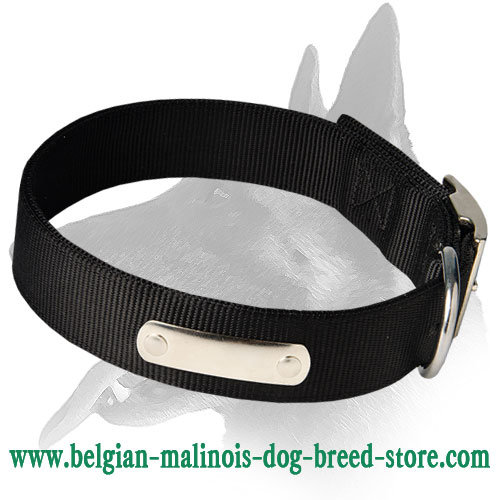 2 Ply Nylon Collar with name tag for Belgian Malinois - Click Image to Close