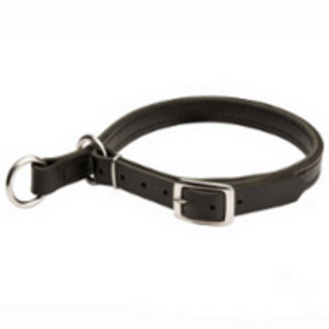 Belgian Malinois Leather Choke Dog Collar - Click Image to Close