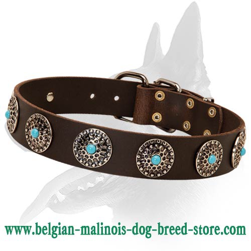Leather Collar with Silver Plated Circles and Blue Stones