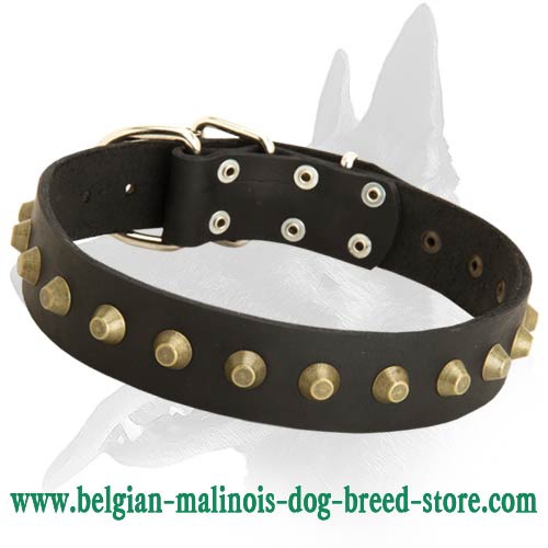 Gorgeous Wide Leather Collar for Belgian Malinois