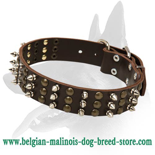 Cool Spiked and Studded Leather Collar for Belgian Malinois