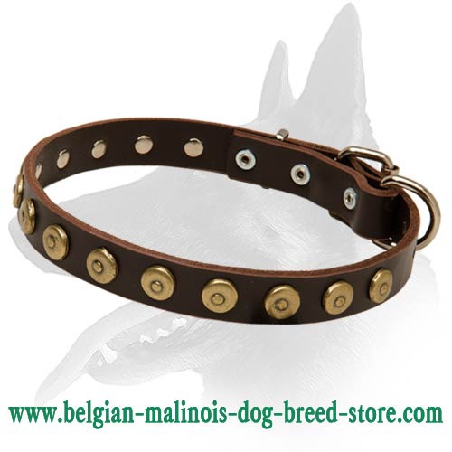 Elegant Leather Collar with Doted Circles for Belgian Malinois