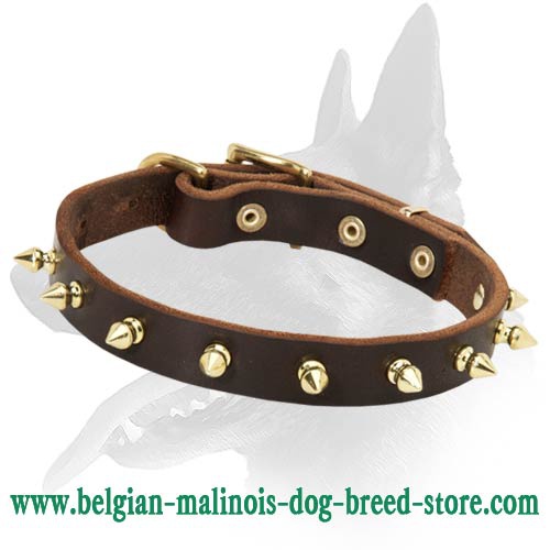 Elegant Spiked Leather Collar for Belgian Malinois