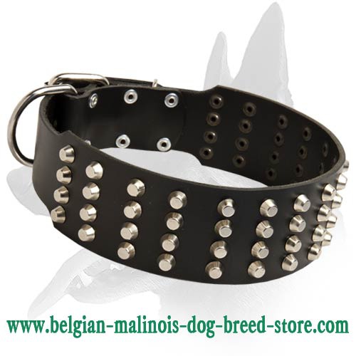 Wide Leather Collar with pyramids for Belgian Malinois - Click Image to Close