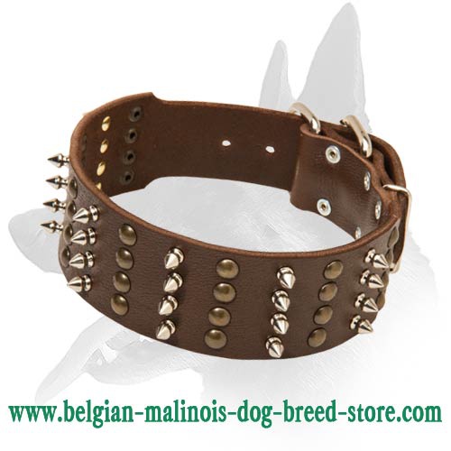 Wide Decorated Leather Collar for Belgian Malinois