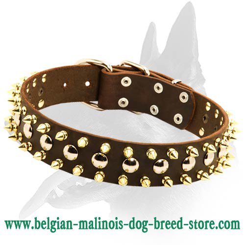 Leather Spiked and Studded Collar for Belgian Malinois