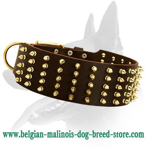 Stunning Spiked Leather Collar for Belgian Malinois