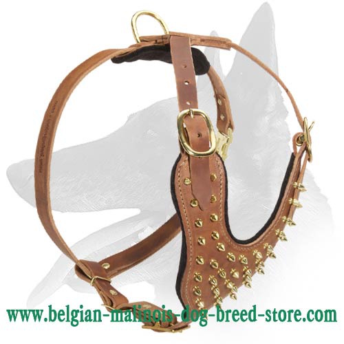 Spiked Leather Harness for Belgian Malinois