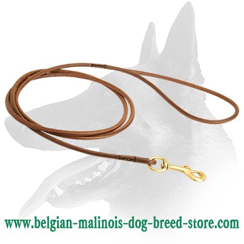 Belgian Malinois Deluxe Leather Leash for Dog Shows
