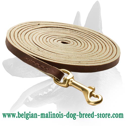Long Leather Leash for Belgian Malinois