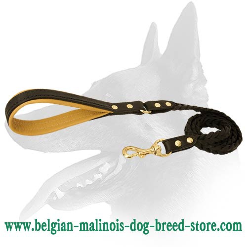 Cool Braided Leather Leash for Belgian Malinois