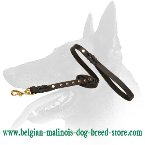 Leather Leash with studs for Belgian Malinois