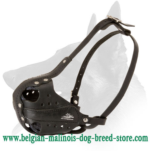Training Leather Muzzle For Belgian Malinois