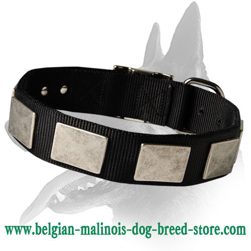 Nylon Collar with Vintage Plates for Belgian Malinois