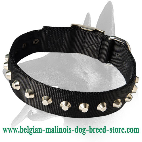 Wide Nylon Collar with nickel pyramids for Belgian Malinois