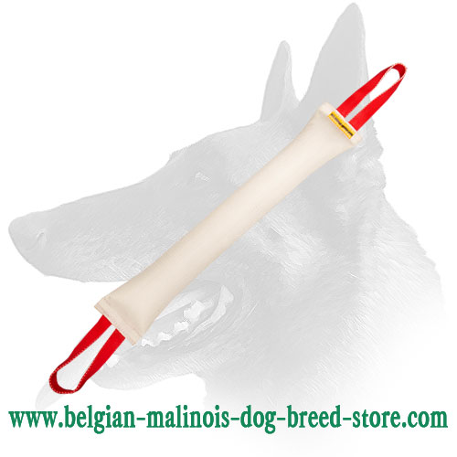 Belgian Malinois Huge Fire Hose Dog Bite Tug with 2 Handles