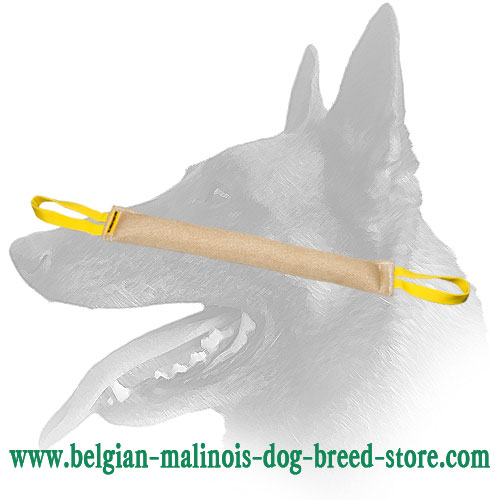 Durable Jute Bite Tug for Improvement Belgian Malinois Bite Skills