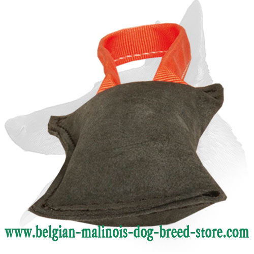 Excellent Drive and Retrieve Building Tool -Belgian Malinois Leather Bite Tug - Click Image to Close
