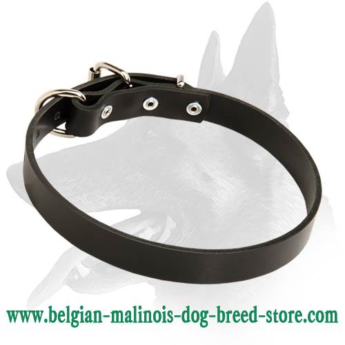 Sound Leather Collar for Belgian Malinois