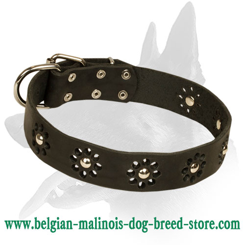 'Flower Blues' Stylish Belgian Malinois Leather Dog Collar