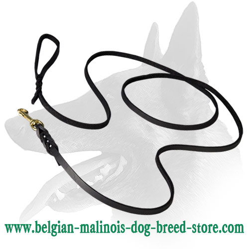 Belgian Malinois High Quality Show Leather Dog Leash