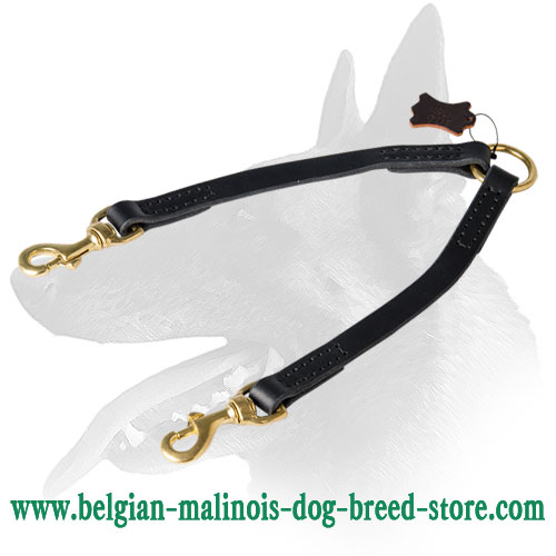 'Doble Power' Belgian Malinois Leather Leash for Two Dogs