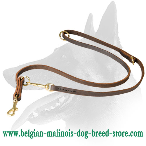 Belgian Malinois Leather Dog Leash for Active Training