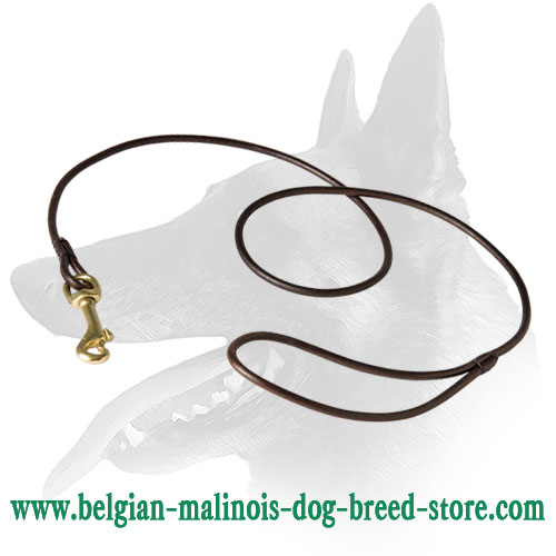 'Like a Star' Belgian Malinois Leather Leash for Dog Shows
