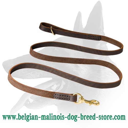 'Snake like' Belgian Malinois Leather Leash