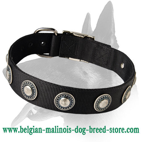 Everyday Nylon Collar With Dazzling Decorations