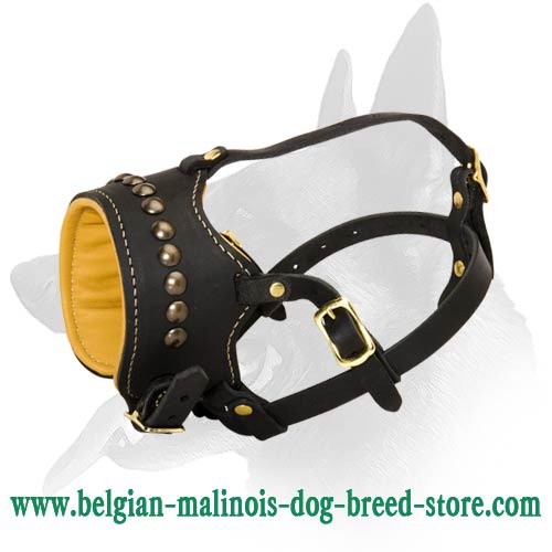 Stylish Studded Leather Muzzle for Belgian Malinois