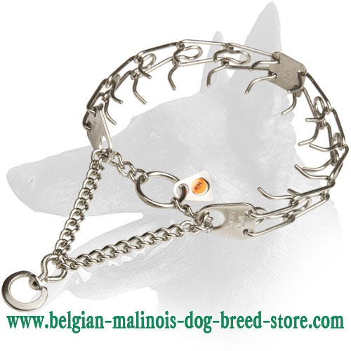 New Belgian Malinois Stainless Steel Dog Pinch Prong Collar