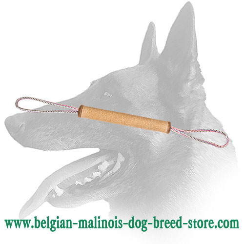 Belgian Malinois Training Play Roll Made of Jute