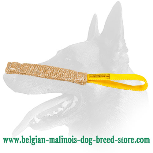 Belgian Malinois Puppy Jute Bite Tug with Comfortable Loop