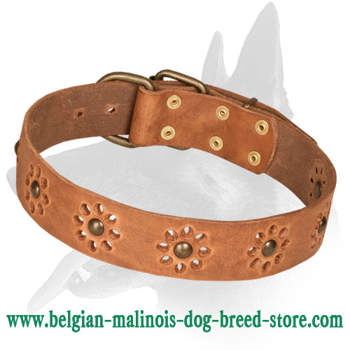 'Spring mood' Belgian Malinois Leather Collar for Joyful Walking