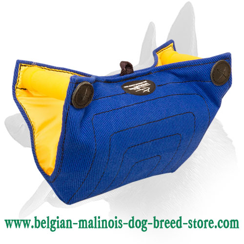 New Belgian Malinois Puppy and Young Dog Bite Builder