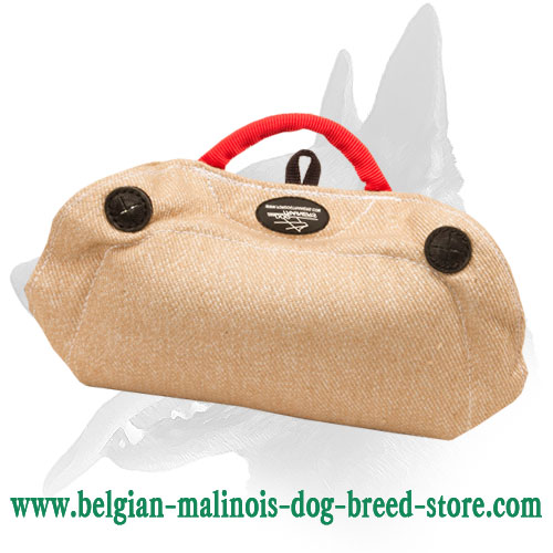 New 2023 Belgian Malinois Puppy and Young Dog Bite Builder Made of Jute 30% DISCOUNT