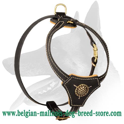 Fashionable Leather Harness for Belgian Malinois puppy